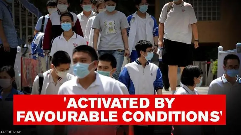 Oxford expert claims coronavirus existed worldwide before emerging in China expert