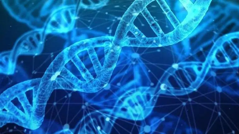 Four-stranded DNA seen for the first time in human cells, may play role in cancer DNA