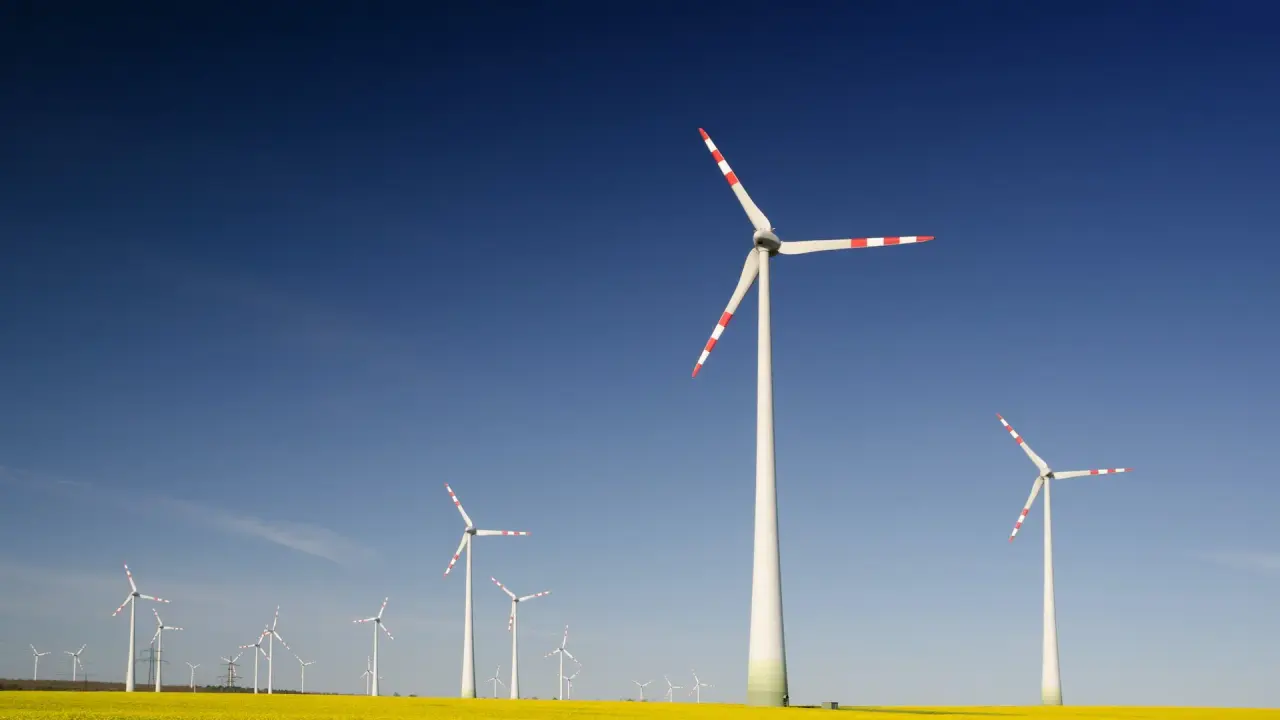 NCLAT rejects plea for Inox Wind's insolvency proceedings Windmill