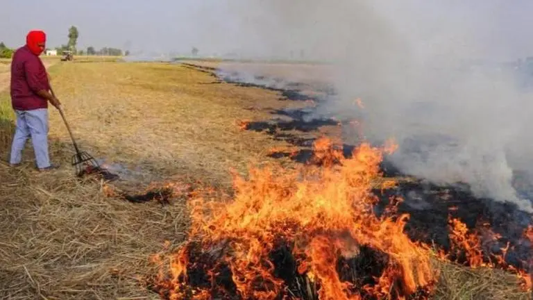 Farmers in Amritsar continue to burn stubble as Delhi records 'severe' AQI level Delhi