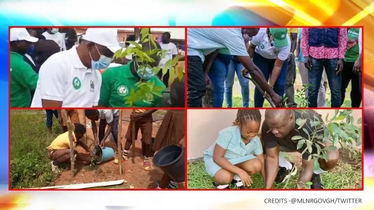 Ghana plants 5 million trees in a single day to combat deforestation, climate change Ghana