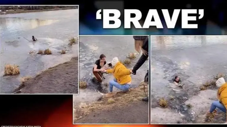 'Brave effort': Woman risks her life to save a dog who fell through thin ice Brave effort