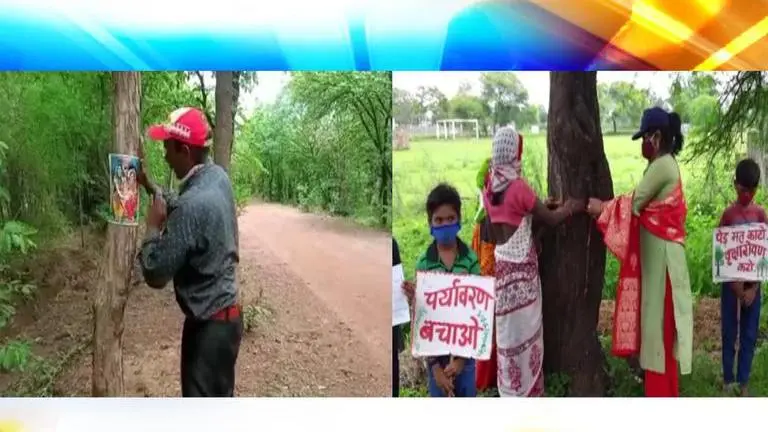 Chhattisgarh activist Virendra Singh pastes pictures of Gods on trees to protest felling Chhattisgarh