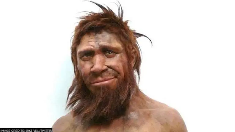 1,20,000-year-old discovery hints at earliest clothing evidence of pre-historic humans Morocco