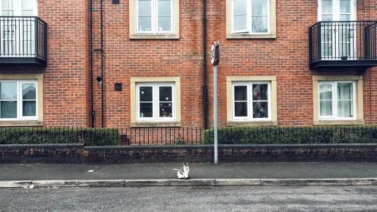 UK: A man from Luton shocked after his house was sold without him knowing UK