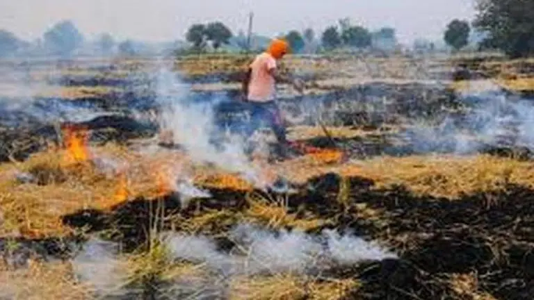 stubble burning