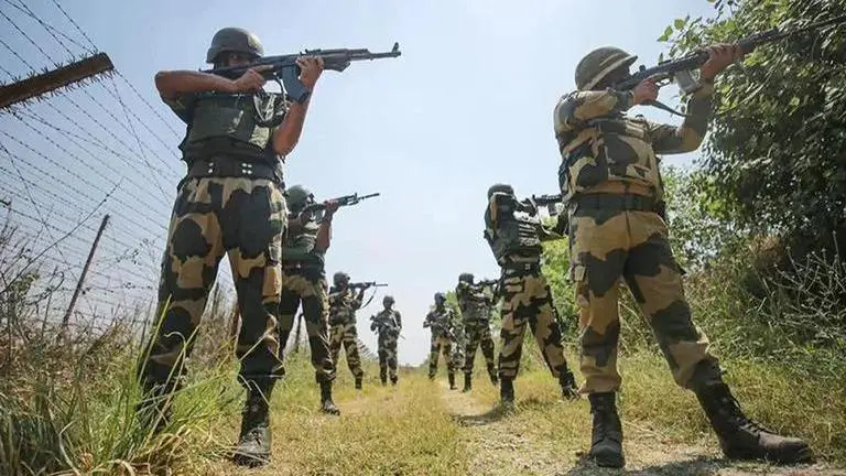 Cattle smuggling: BSF rescue 70 cattle on international border in Meghalaya, 2 held BSF