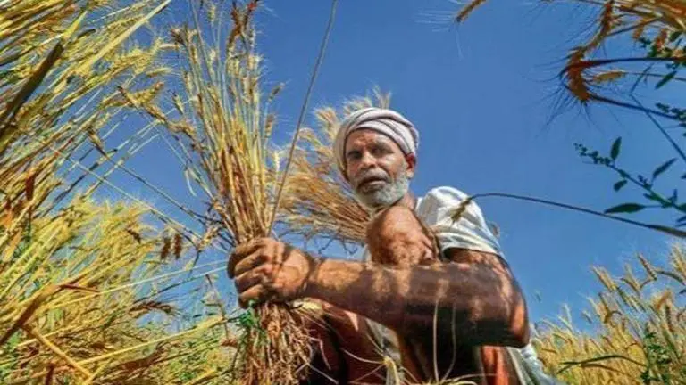 Govt cuts allocation for PM-Kisan by 27.5 pc for this fiscal Budget