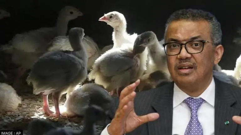 WHO says bird flu 'situation is worrying' after death of 11-yr-old girl in Cambodia WHO