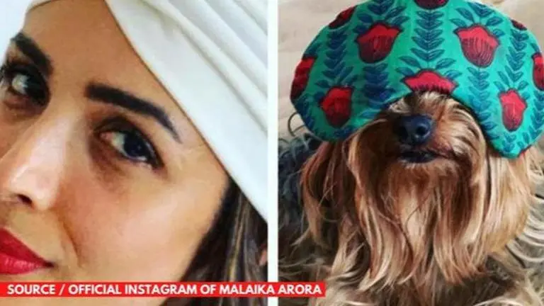 Malaika Arora twins with sister Amrita's dog, asks ''why is the pet copying me?'' Malaika Arora