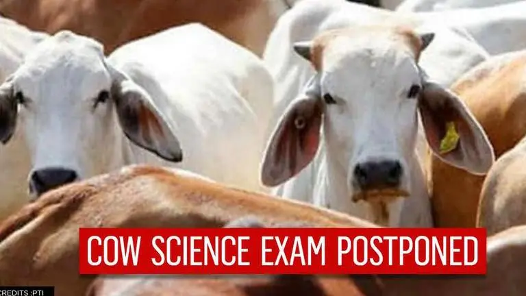 Cow Science exam