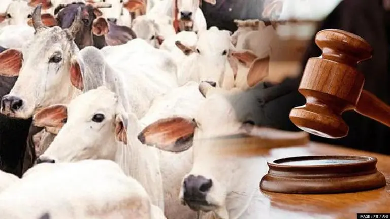 BSF officer arrested for illegal cattle smuggling as ED seizes assets worth ₹2.87 crore ED