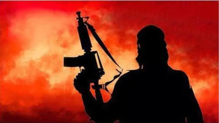 WATCH | Several injured as terrorists lob grenade near Kashmir University Kashmir