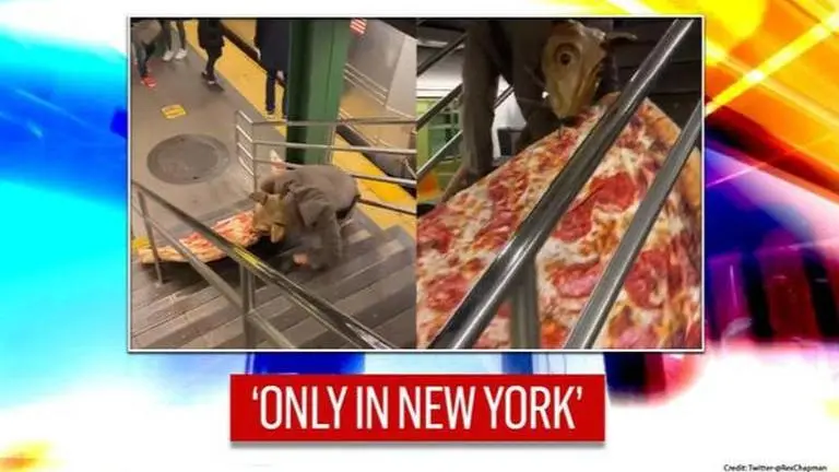 'Pizza rat': Man dressed as mouse drags pizza up subway stairs, it's a 'very normal sight' pizza rat