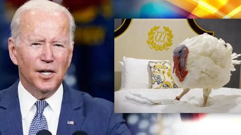US: Meet Peanut Butter & Jelly, the Thanksgiving turkeys to be pardoned by Prez Joe Biden US