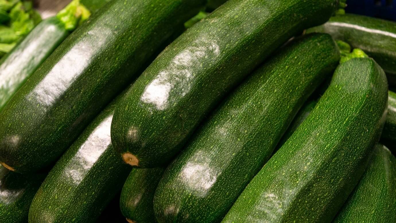 Zucchini 