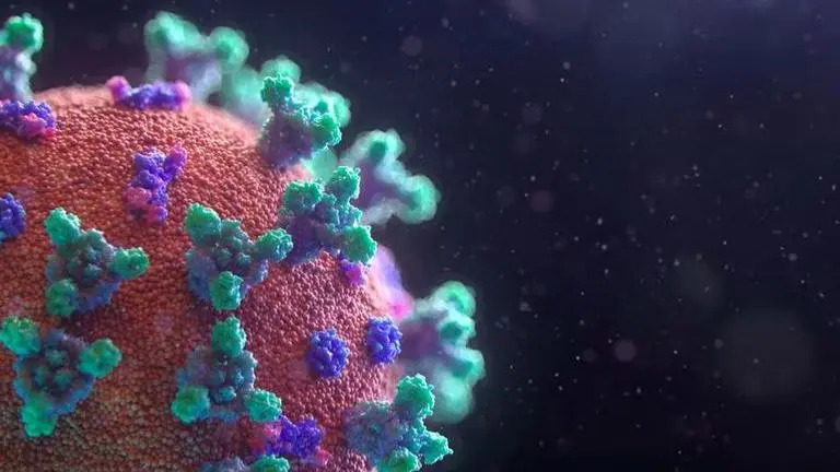 Omicron: Virologists share who is 'most at risk' and vulnerable to new COVID-19 variant Omicron