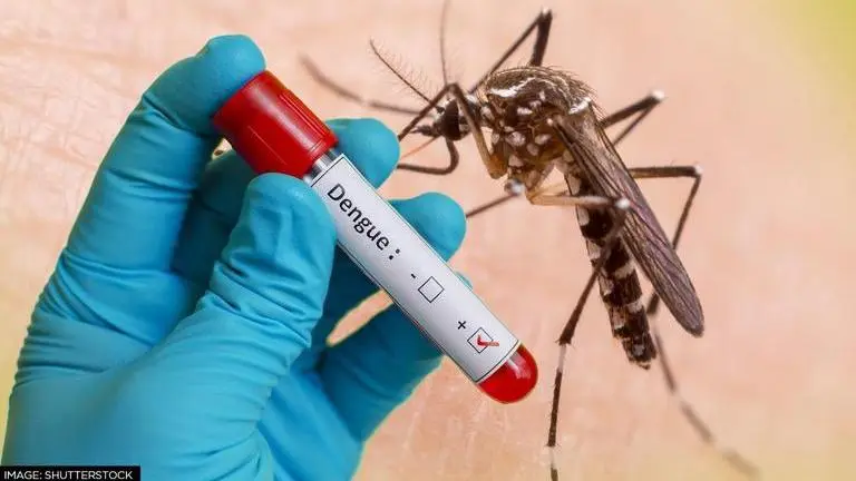 Indonesia: Experts use 'Wolbachia' bacteria for breeding 'good mosquitoes' against dengue Dengue