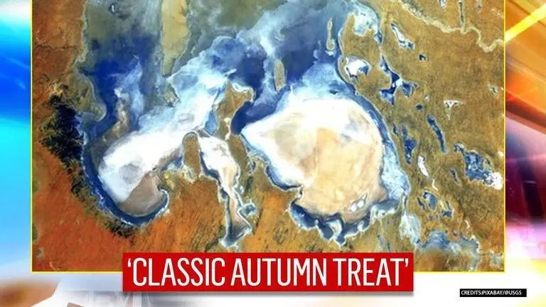 NASA shares photo of Australia taken from space, calls it 'Pumpkin Space Latte' NASA