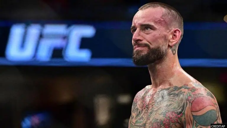 cm punk, WWE star CM Punk