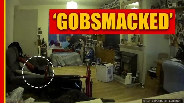 Video: Dead cat's 'ghost' captured on camera a year after death, netizens stunned dead cat's ghost