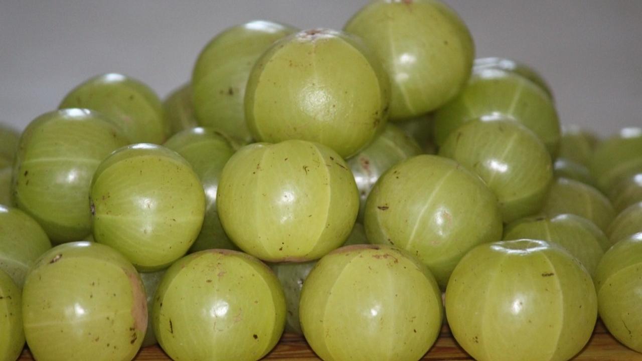 0 Surprising Health Benefits Of Eating Amla (Indian Gooseberry) In An Empty Stomach