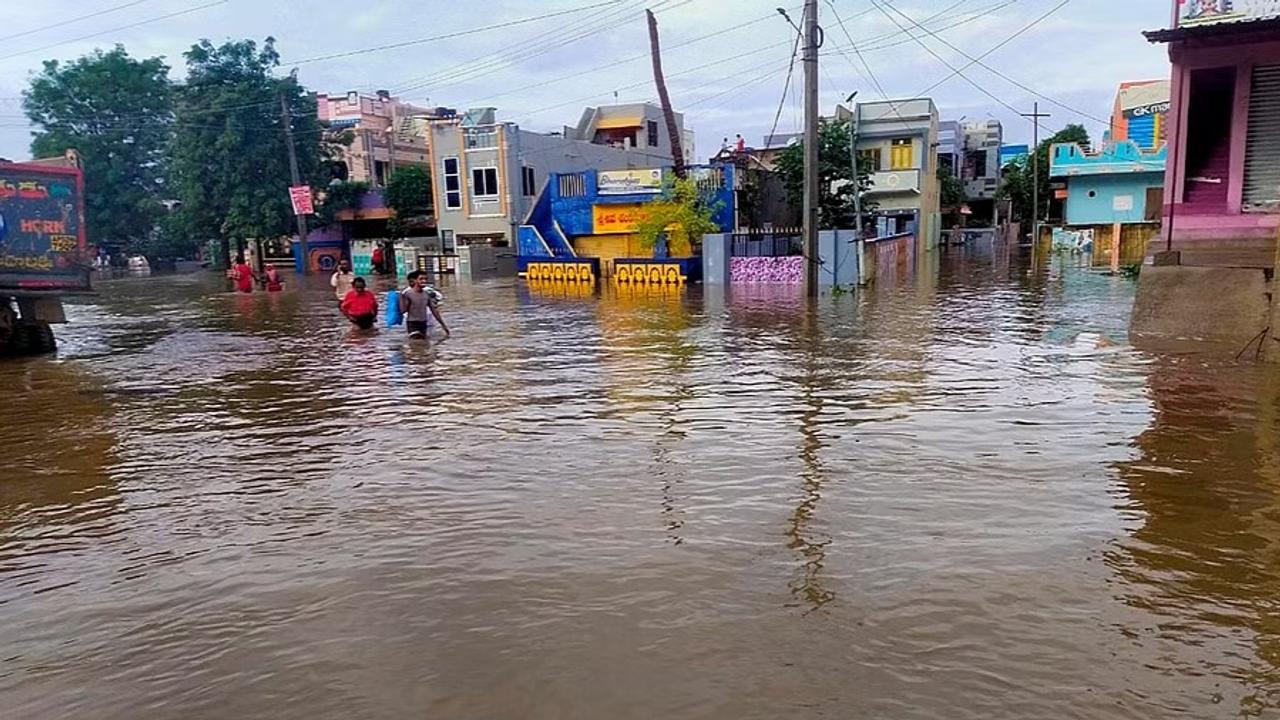 Andhra Pradesh: Eight killed in rain-related incidents