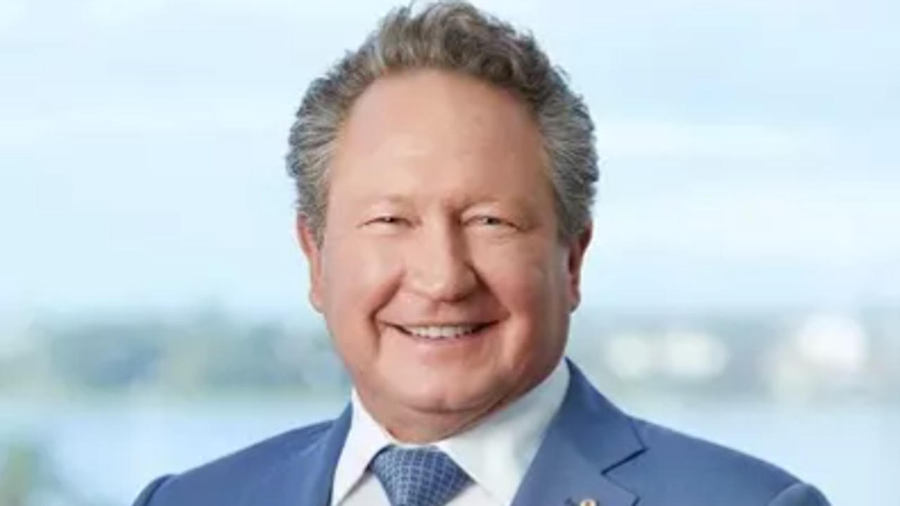 Andrew Forrest, Australian billionaire and Chief Executive Officer of Fortescue Metals Group