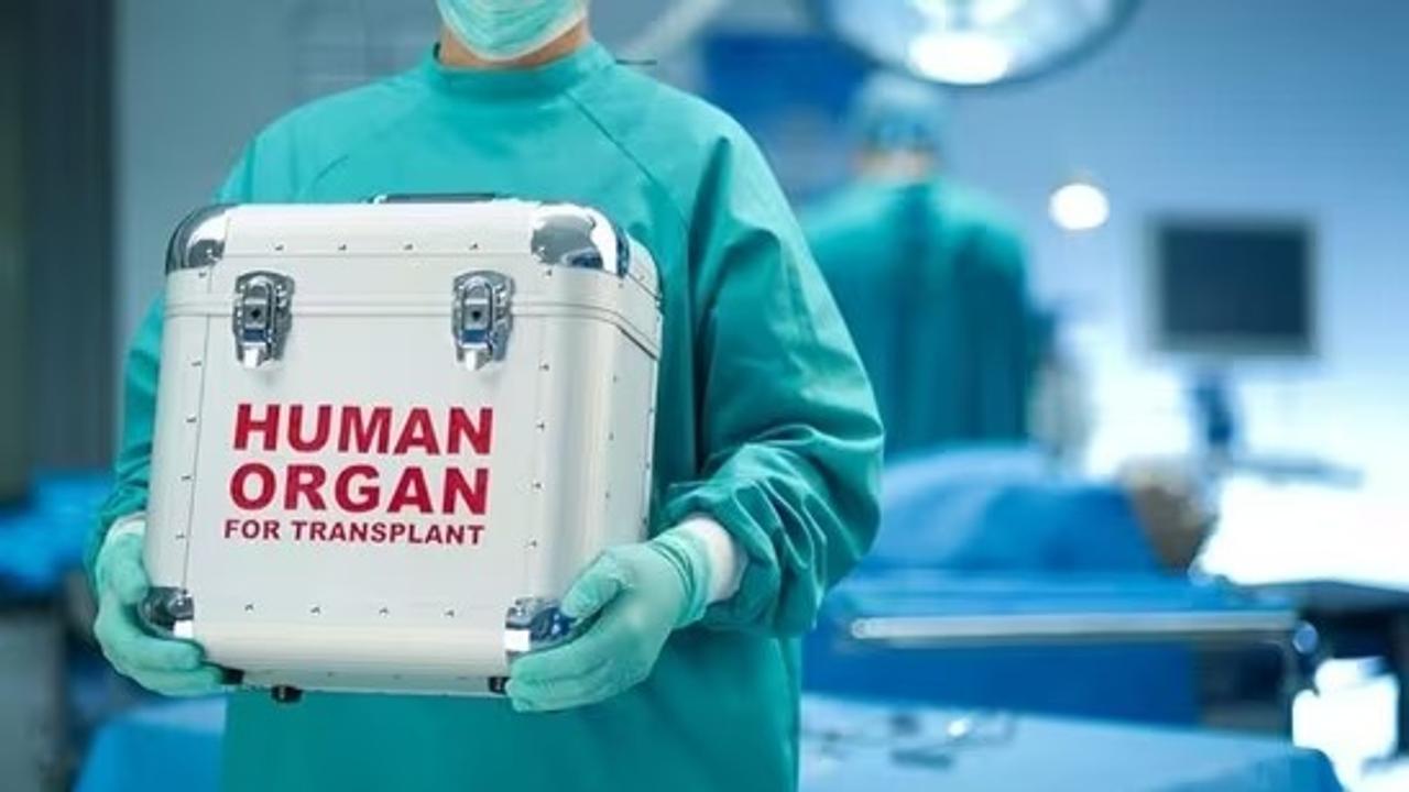 organs transplant in Rajasthan 