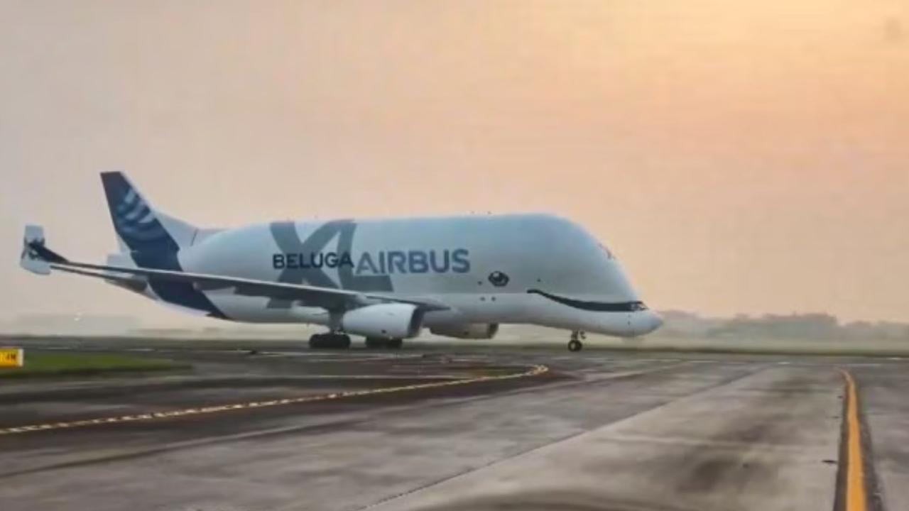 Beluga XL