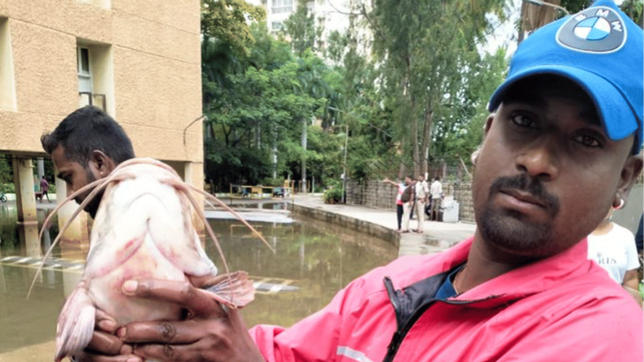 Bengaluru Residents Go Fishing in Flooded Apartment Basement Amid Heavy Rains