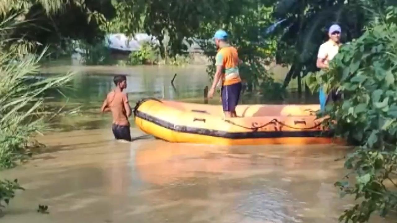 Bihar flood situation