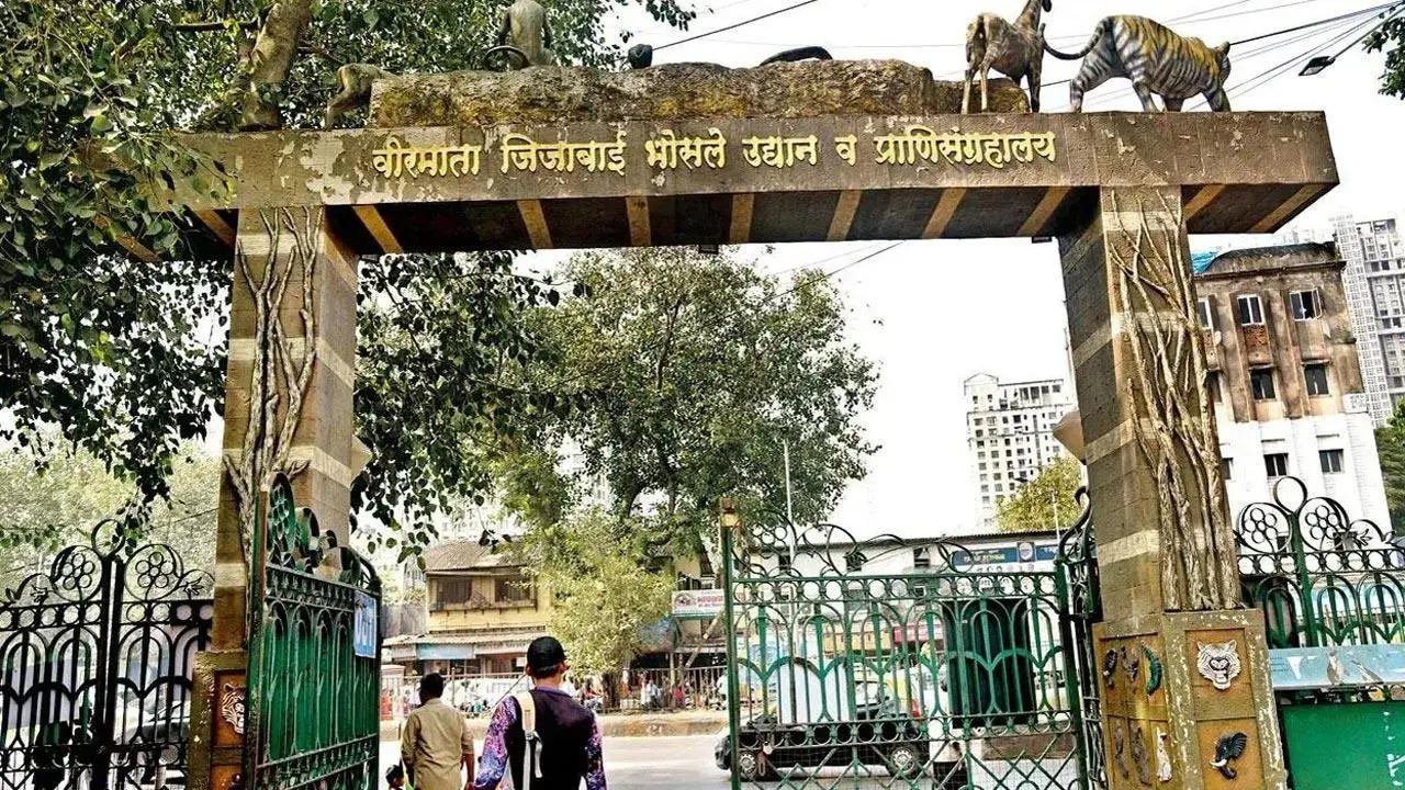 Byculla zoo to remain open on Wednesday on account of Christmas: BMC