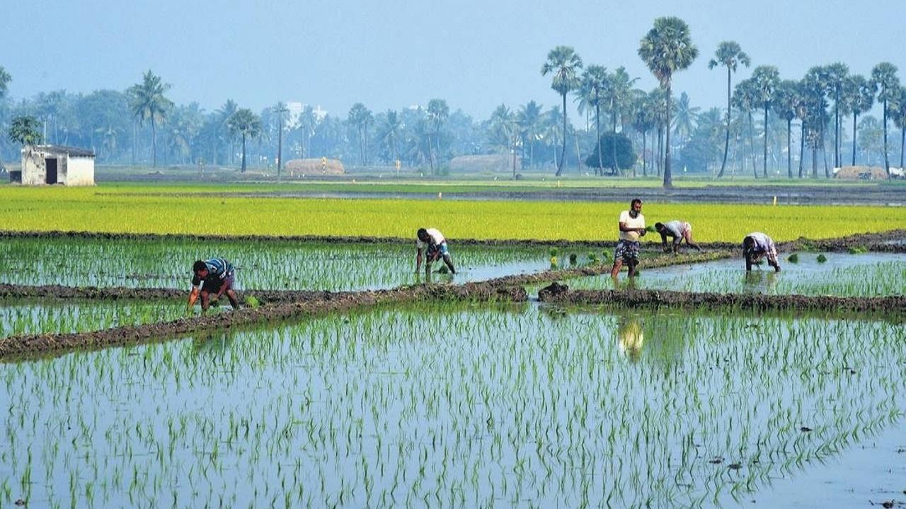 Central government launches national mission for natural farming