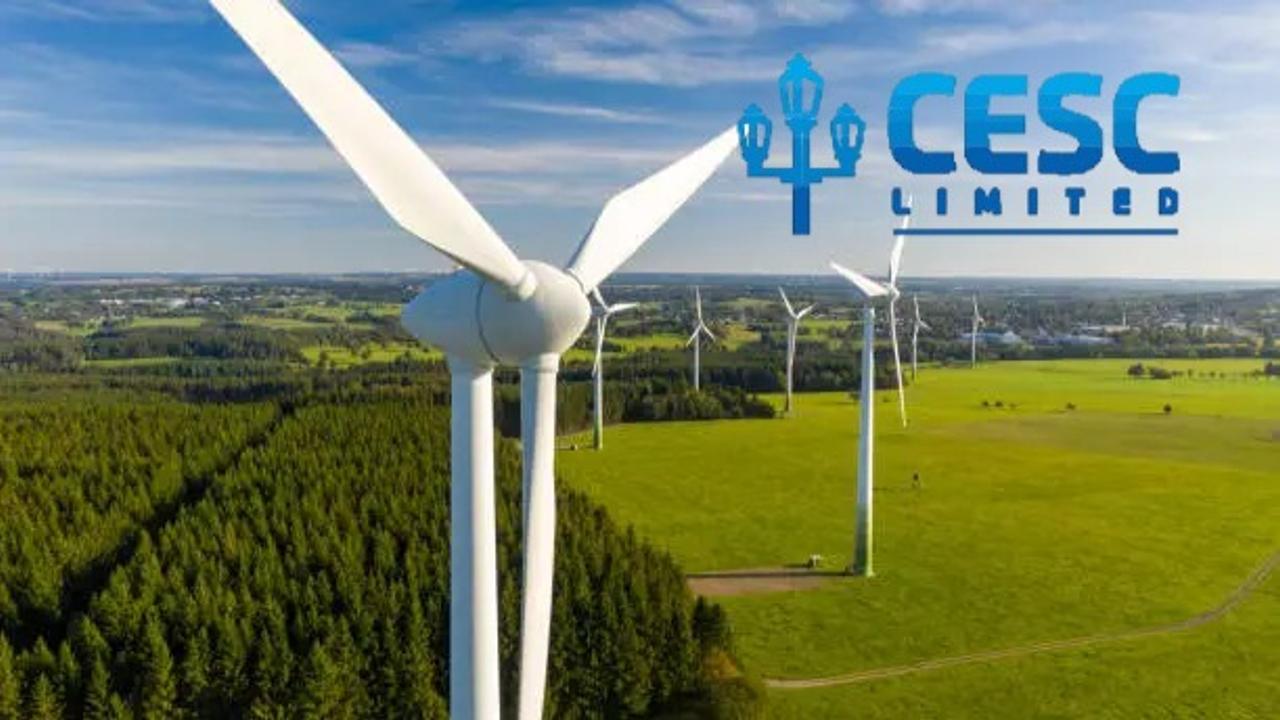 CESC Ltd Q1 FY25 earnings