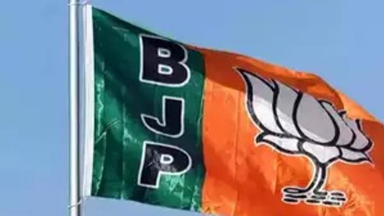 Chhattisgarh bypoll: BJP Wins Raipur City South assembly seat