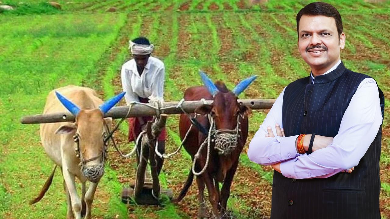 CM Fadnavis government gave big gift to farmers 