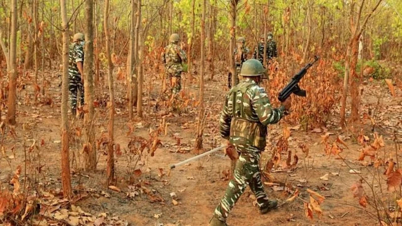 Naxal couple with cumulative bounty of Rs 8 lakh lays down arms in Gadchiroli