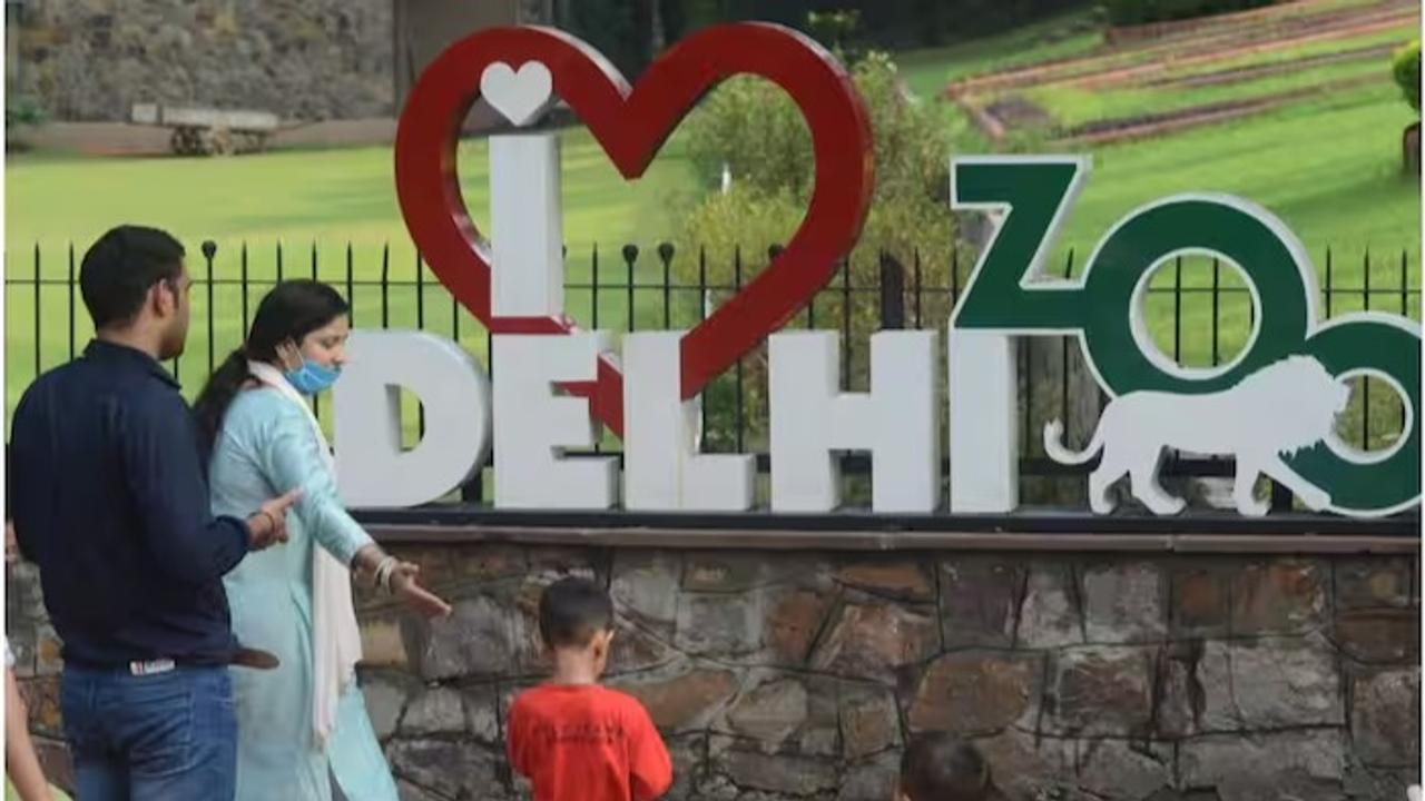 Delhi zoo plans to increase number of animals