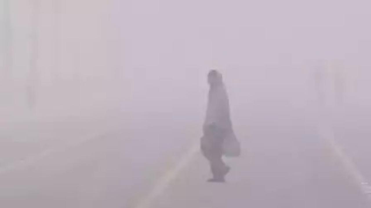 Dense fog blankets parts of Punjab