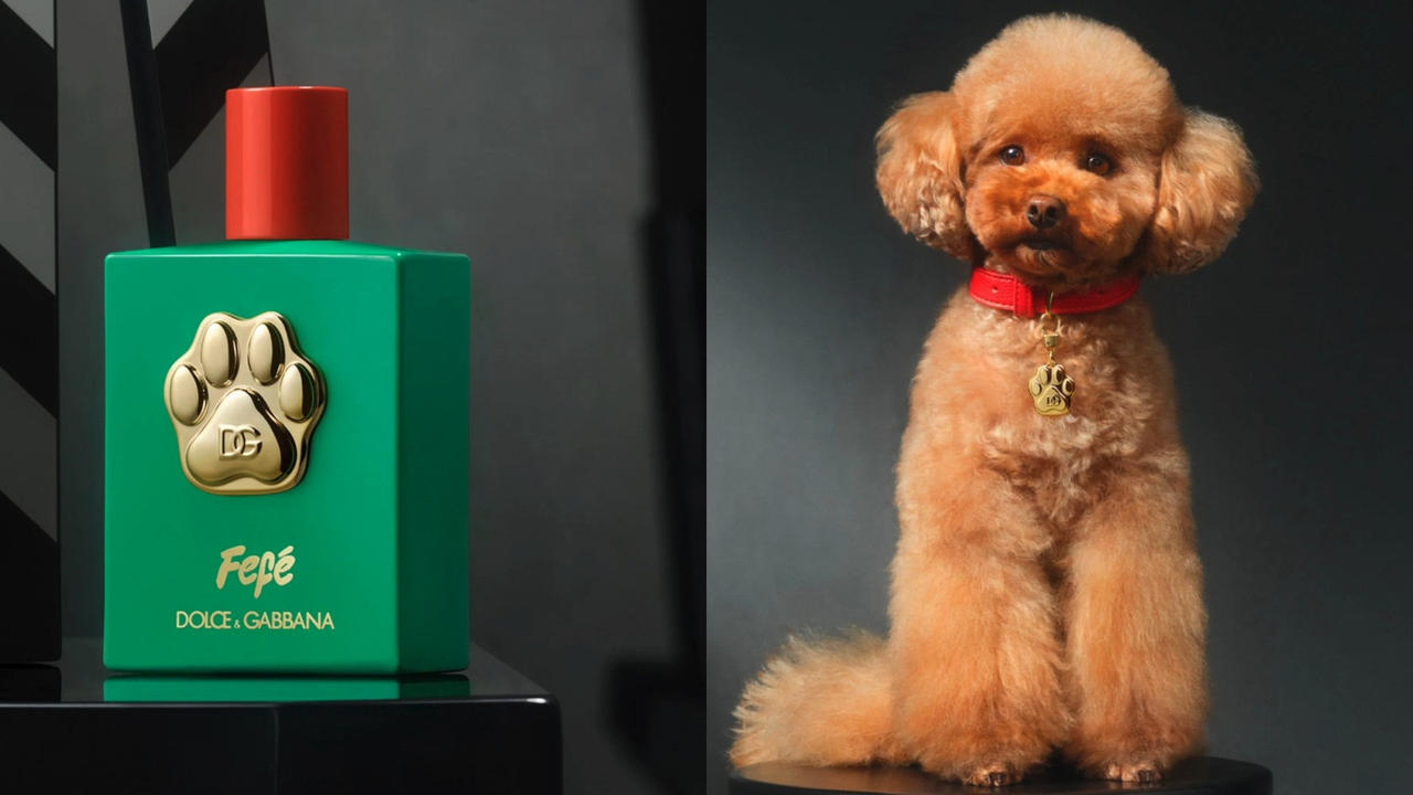 Dolce & Gabbana’s Rs 9,000 dog perfume