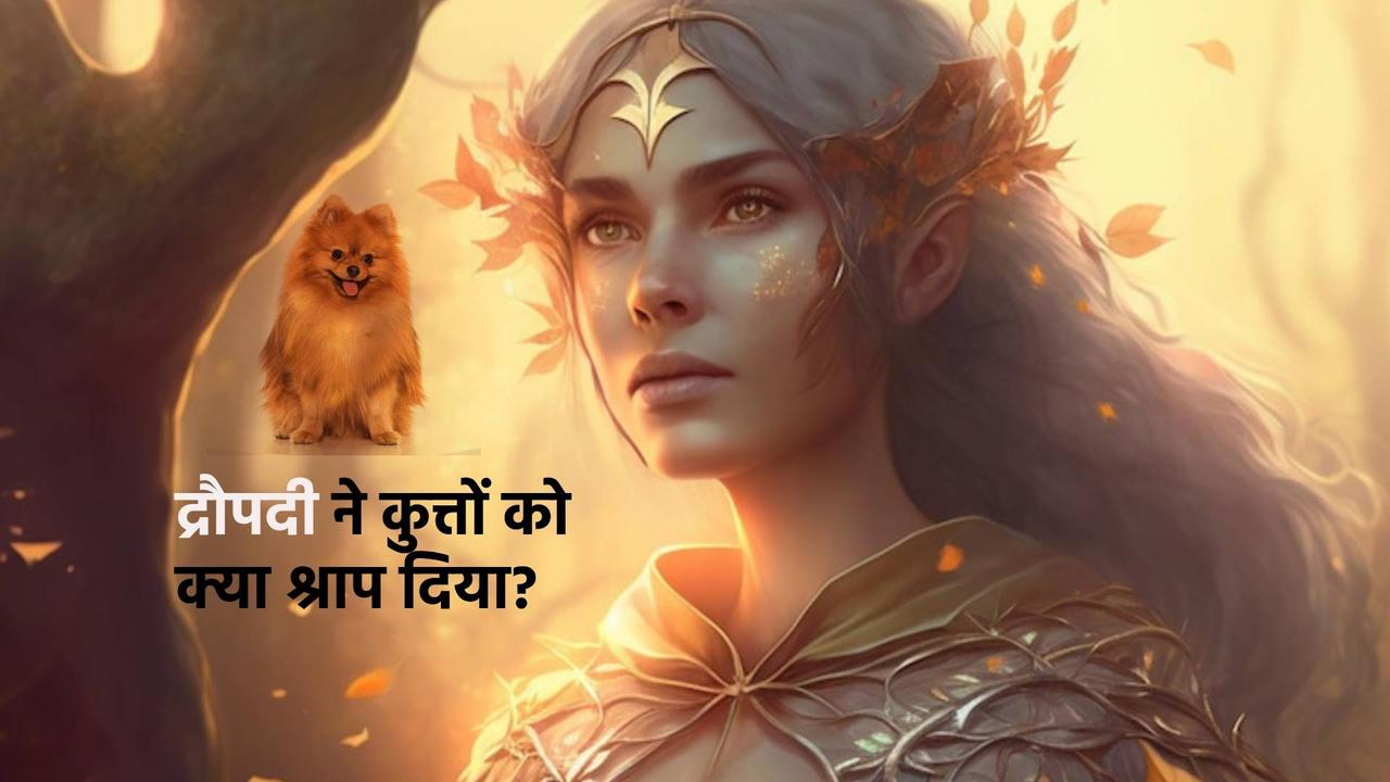 draupadi curse to dogs