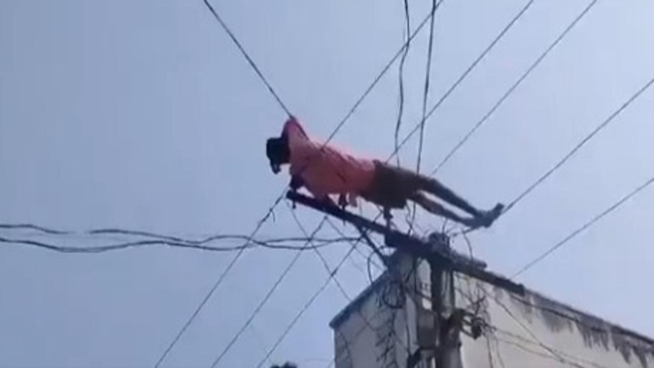 Drunk Man Naps on Electric Wires After Climbing Pole in Andhra's Manyam | Viral Video