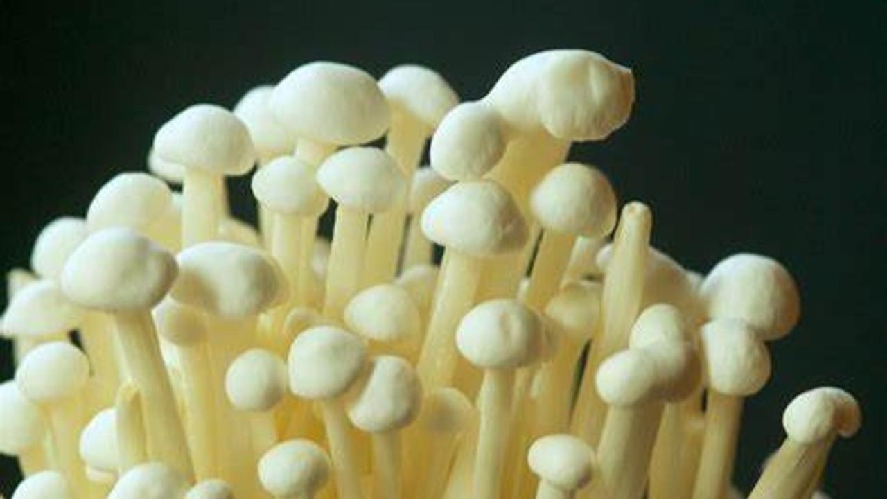 Enoki mushrooms