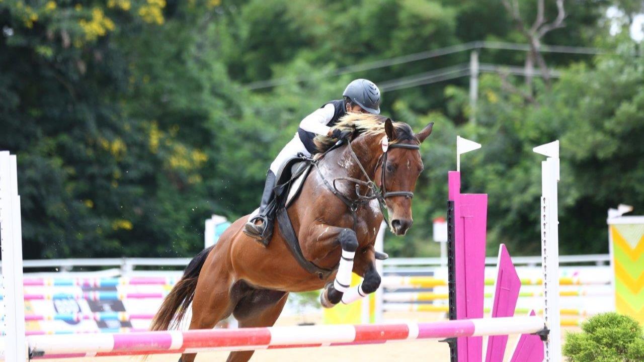 Equestrian Jumping Classics