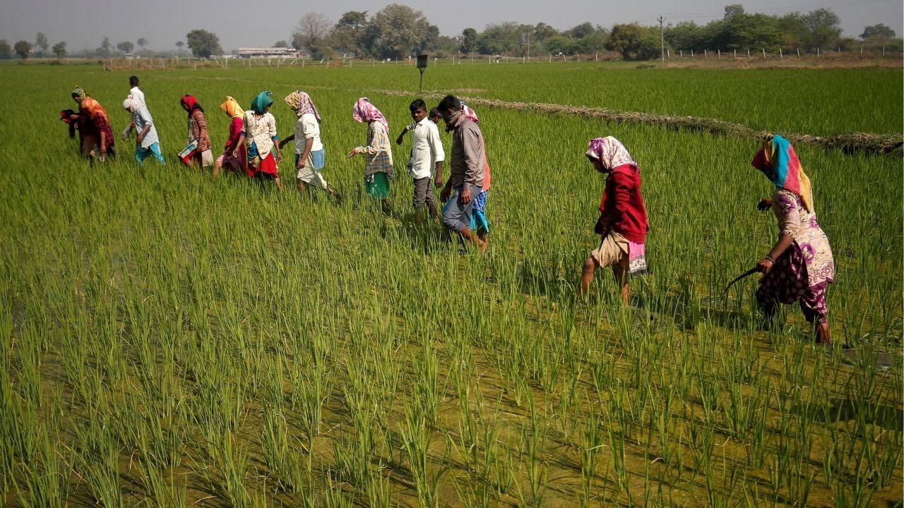 farmers in india