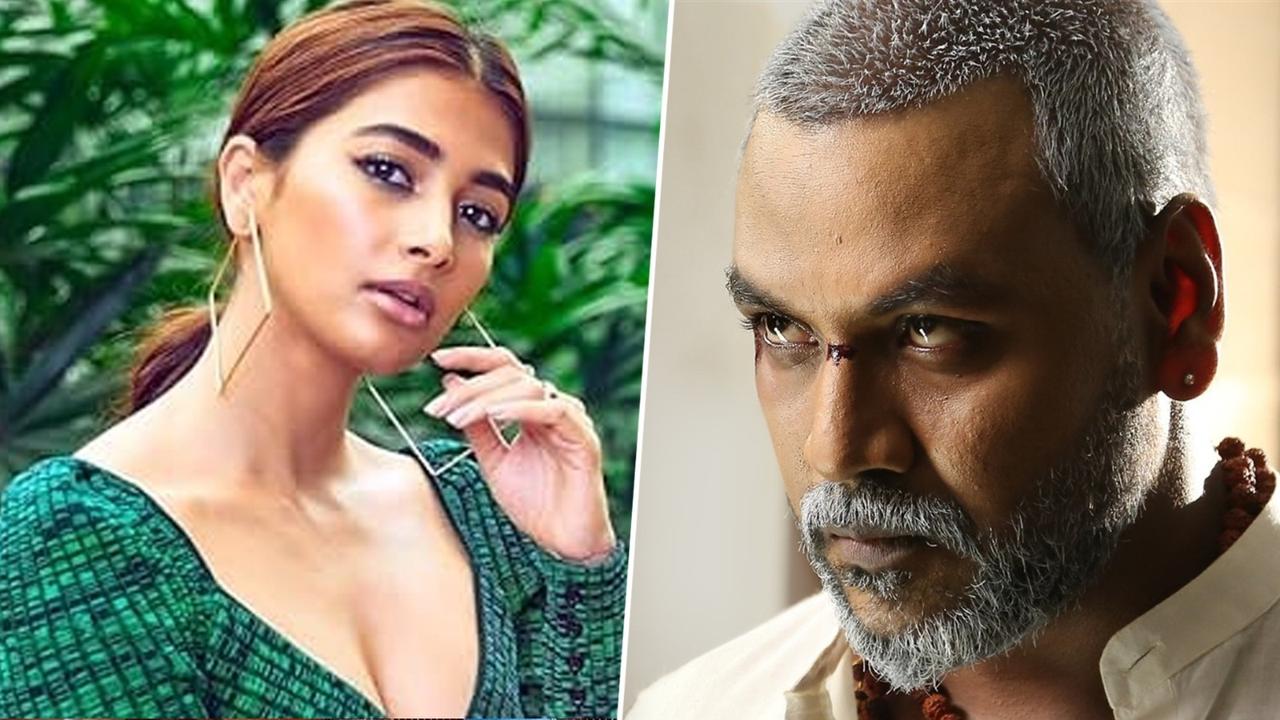 File photo of Pooja Hegde and scene of Kanchana featuring Raghava Lawrence