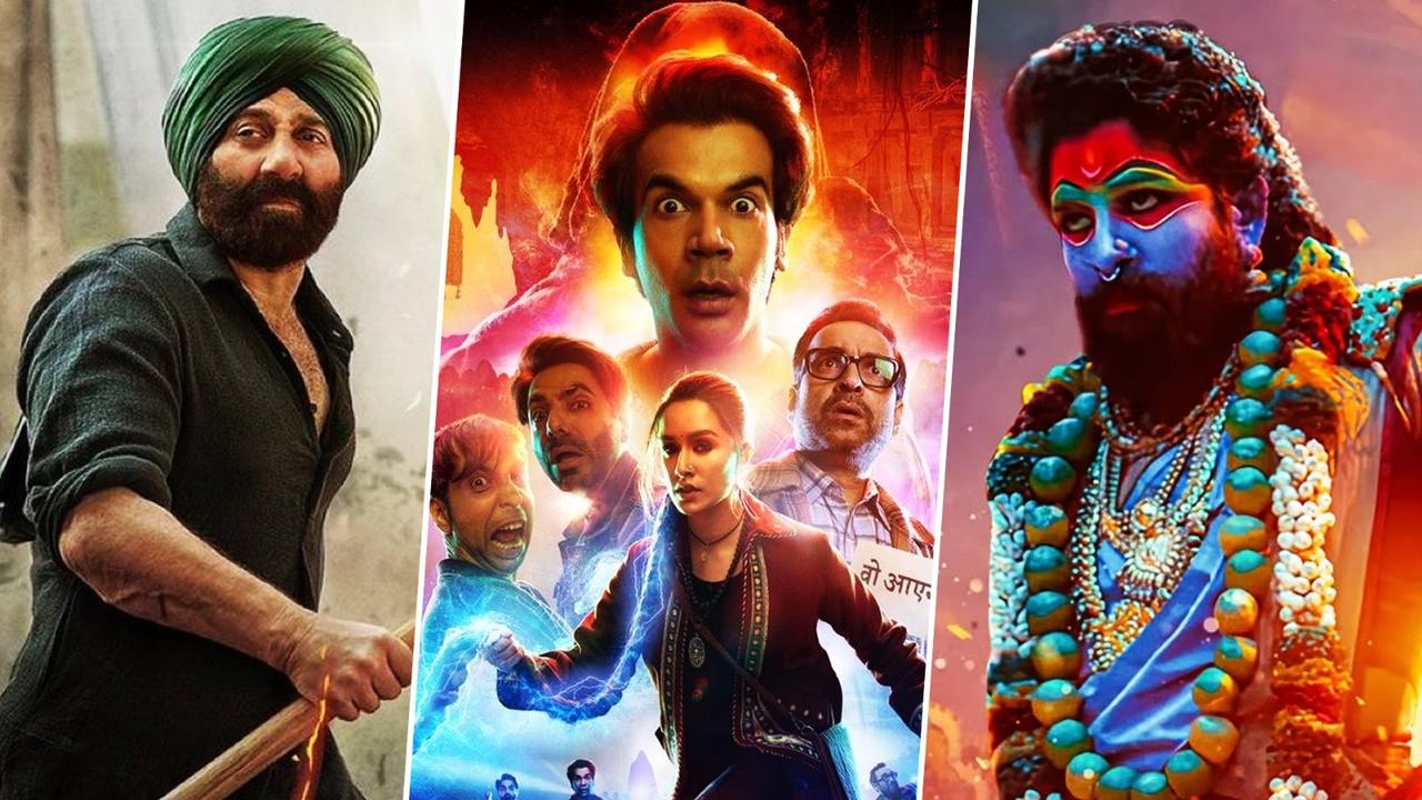 Gadar 2, Stree 2 and Pushpa 2 emerged as hit sequels at the box office