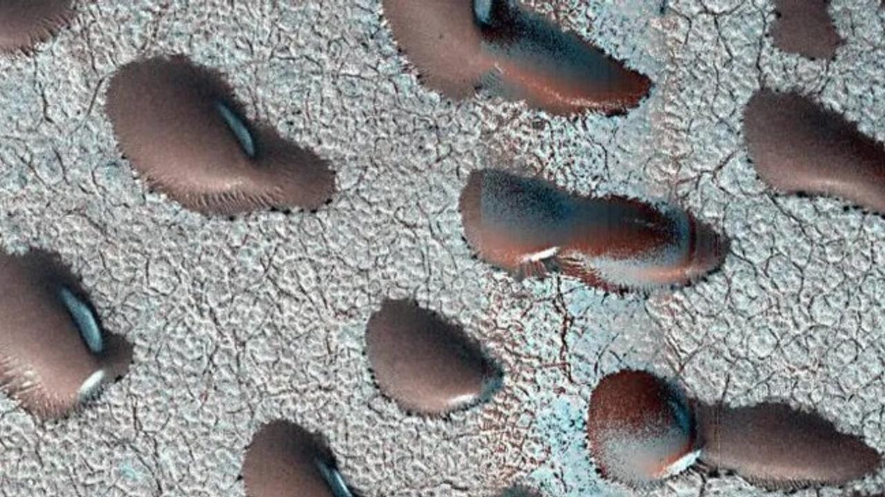 Giant 'Kidney Beans' on Mars