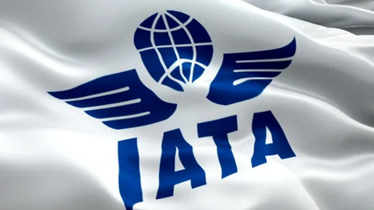 Global airlines' grouping IATA